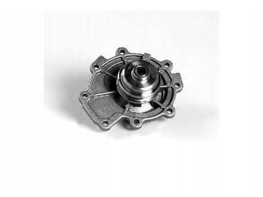 Pompa Cieczy Chłodzącej P252