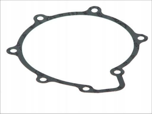 Uszczelka Pompy Cieczy Chłodzącej 895.378