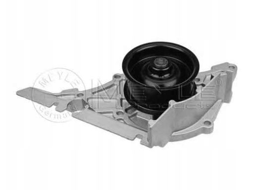 113 012 8100 Pompa Cieczy Chłodzącej Meyle
