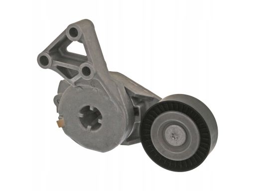 Fe14714 Napinacz Paska Wielorowkowego Pasuje Do: Audi A3, Tt, Seat