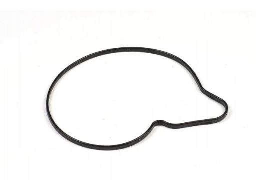 Pompa Cieczy Chłodzącej P663M