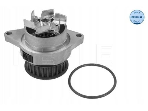 113 012 0024 Pompa Cieczy Chłodzącej Meyle