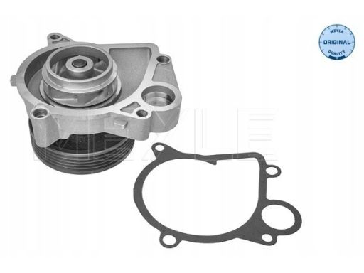 313 011 1200 Pompa Cieczy Chłodzącej Meyle