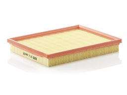 Filtr Powietrza C 2569