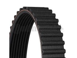 Pasek Rozrządu Ct530