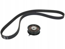 Zestaw Paska Rozrządu 530 0174 10