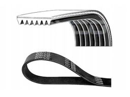 Pasek Wieloklinowy 7Pk1605