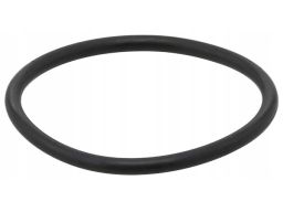 Uszczelka Termostatu 007.920