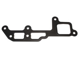 Uszczelka Termostatu 589.300