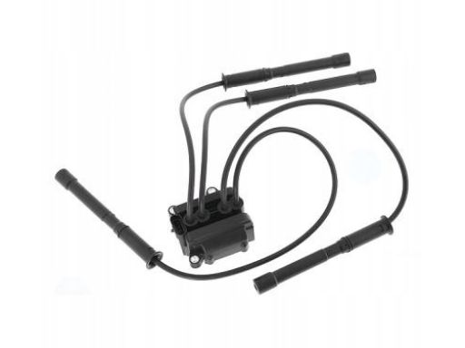 Cewka Zapłonowa 48007