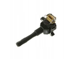 Cewka Zapłonowa 48036