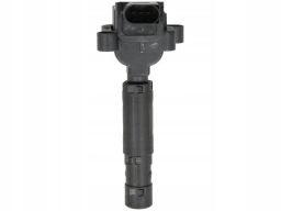 Cewka Zapłonowa 48207