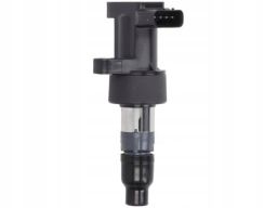 Cewka Zapłonowa Gn10327-12B1