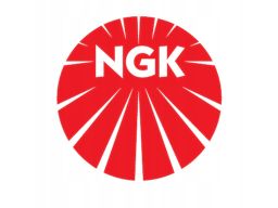 Świeca Zapłonowa 6343