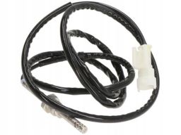 Czujnik Temperatury Spalin As3107