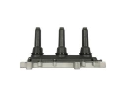 Cewka Zapłonowa 134088