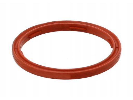 Pierścień Uszczelniający Czujnika Poziom 301.540