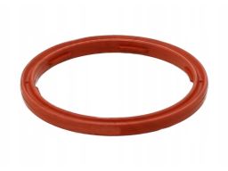 Pierścień Uszczelniający Czujnika Poziom 301.540