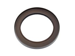 Uszczelniacz Wału Korbowego 20025510B