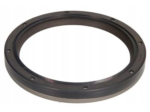 Uszczelniacz Wału Korbowego 301.870