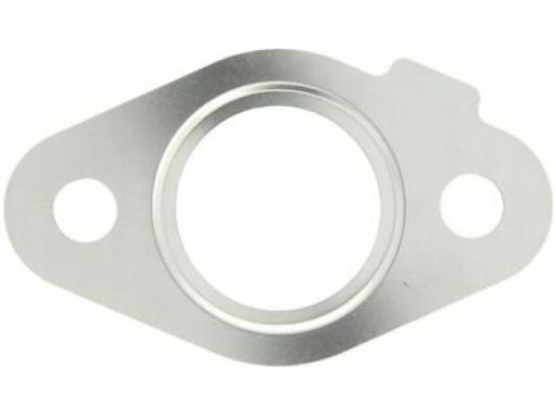 Uszczelnienie Zaworu Egr 016.260