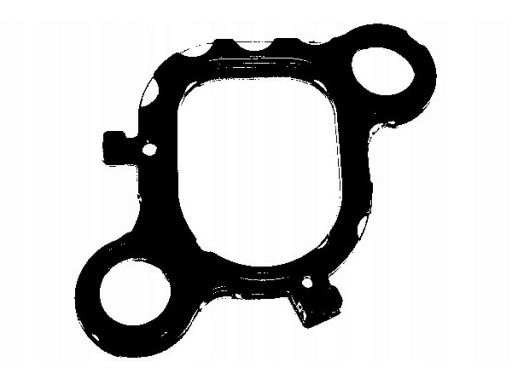 Uszczelka Kolektora Dolotowego 016.981