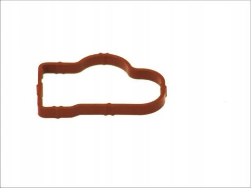 Uszczelka Kolektora Dolotowego 051.090