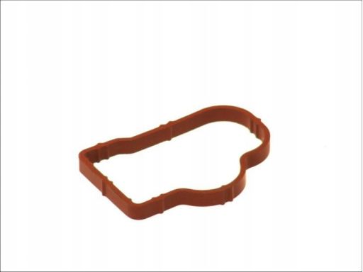 Uszczelka Kolektora Dolotowego 051.090