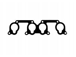 Uszczelka Kolektora Dolotowego 165.210