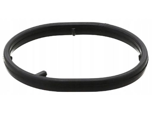 Uszczelka Chłodnicy Oleju 249.070