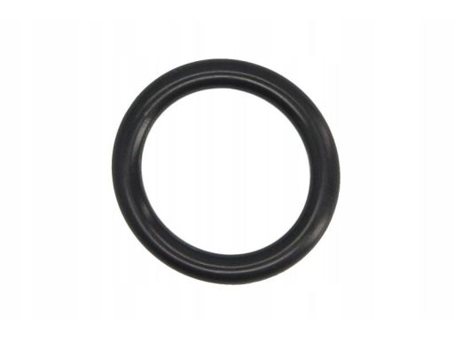 Uszczelka Kolektora Dolotowego 389.121