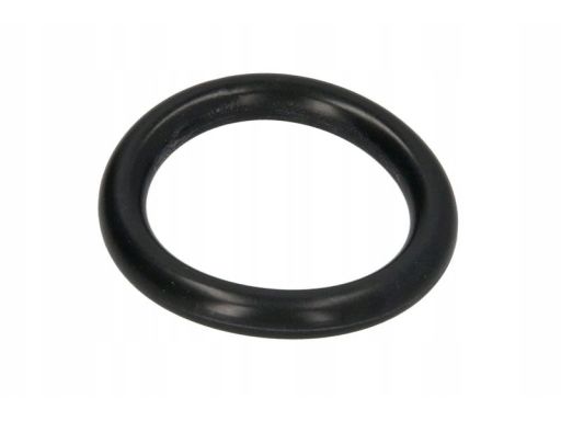 Uszczelka Kolektora Dolotowego 389.121