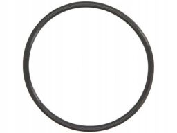 Uszczelnienie Zaworu Egr 928.840