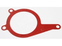 Uszczelka Pompy Podciśnieniowej 254.250
