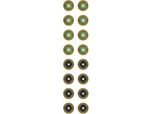 Zestaw Uszczelniaczy Trzonka Zaworów 12-10011-01