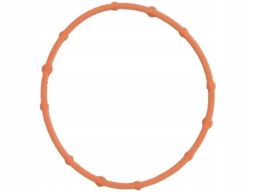 Uszczelka Rury Kolektora Dolotowego 560.720