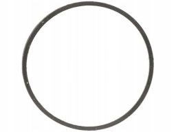 Uszczelka Rury Kolektora Dolotowego 655.850