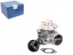 Zawór Egr 7.24809.17.0