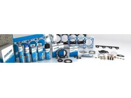 02-10039-01 Zestaw Uszczelek Głowicy Cylindra 02-10039-01 Reinz