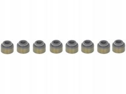 12-53473-01 Zestaw Uszczelniaczy Trzonka Zaworów 12-53473-01 Reinz