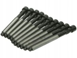 14-32127-02 Zestaw Śrub Głowicy Cylindrów 14-32127-02 Reinz
