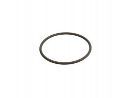 F 00N 201 306 Uszczelniacz F 00N 201 306 Bosch