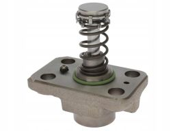 F 01M 100 947 Głowica Cylindra Bosch