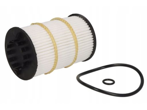 F 026 407 313 Filtr Oleju Bosch