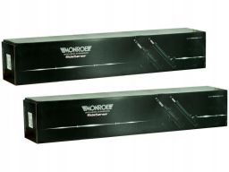 C2513S Amortyzator Monroe