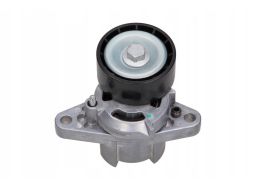54-0418 Napinacz Paska Wielorowk. Renault Maxgear