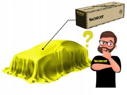 V1133 Amortyzator Monroe