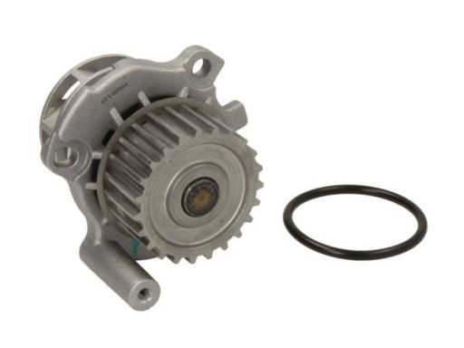 D1W002Tt Pompa Cieczy Chłodzącej Thermotec