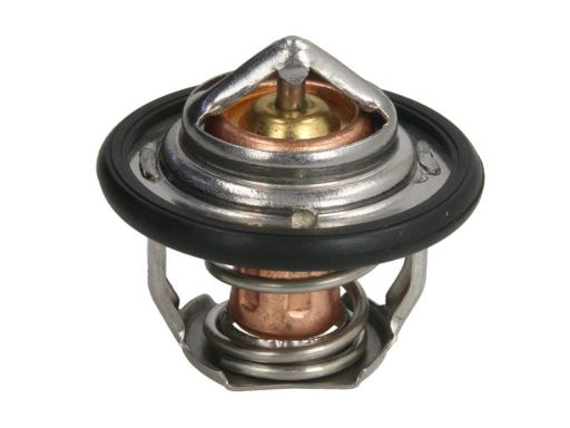 L70.0617 Termostat Środka Chłodzącego Thermotec
