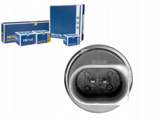 100 919 0032 Czujnik Temperatury Płynu Chłodzącego (Ilość Pinów: 2,